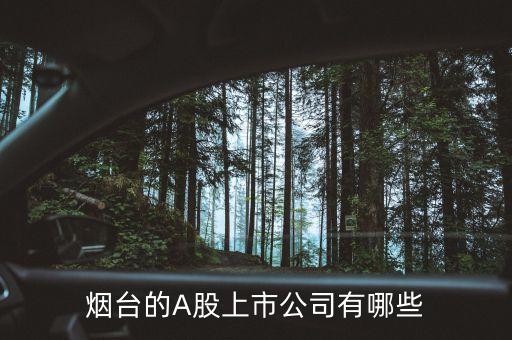 東方電子股票簡(jiǎn)介,煙臺(tái)東方電子股票