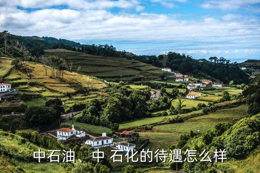 中國(guó)石化年終獎(jiǎng)