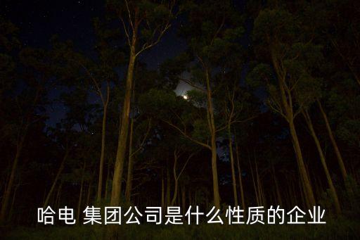  哈電 集團公司是什么性質的企業(yè)
