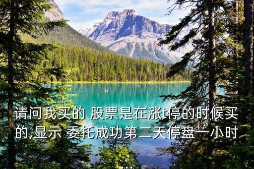 請(qǐng)問(wèn)我買(mǎi)的 股票是在漲t停的時(shí)候買(mǎi)的,顯示 委托成功第二天停盤(pán)一小時(shí)...