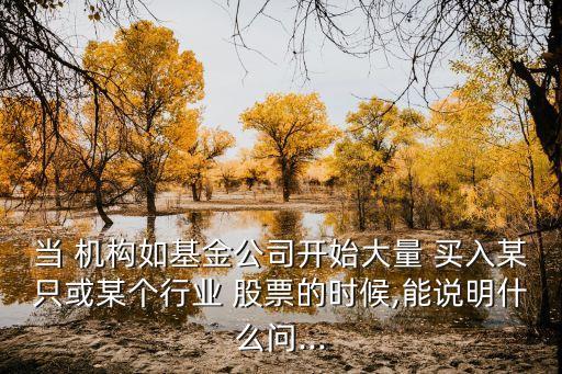 當(dāng) 機(jī)構(gòu)如基金公司開始大量 買入某只或某個行業(yè) 股票的時候,能說明什么問...