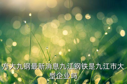 方大集團(tuán)國(guó)企嗎,方大鋼鐵集團(tuán)是國(guó)企嗎