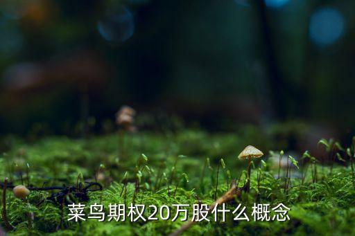 菜鳥(niǎo)科技股票,菜鳥(niǎo)上市受益股票