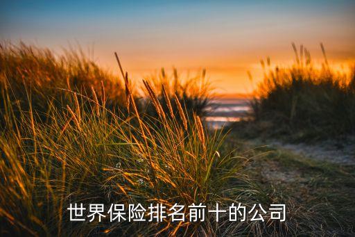 全球9大保險(xiǎn)公司名單,全球保險(xiǎn)公司排行榜2022
