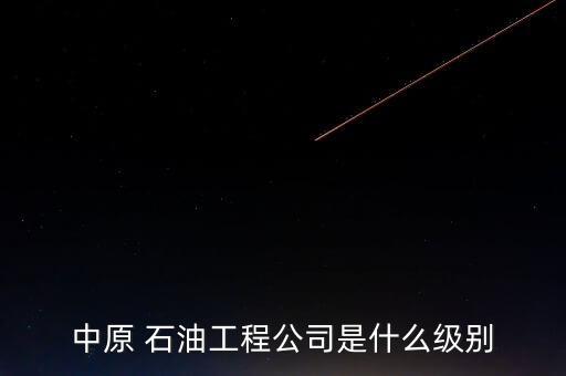 中國石化石油工程技術服務有限公司,德州大陸架石油工程技術有限公司