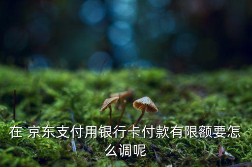 在 京東支付用銀行卡付款有限額要怎么調呢