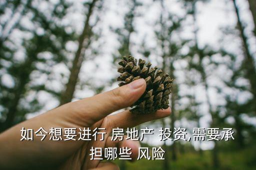 如今想要進行 房地產(chǎn) 投資,需要承擔哪些 風險
