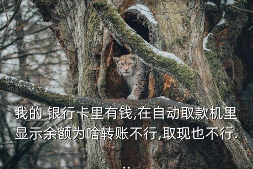 我的 銀行卡里有錢,在自動取款機里顯示余額為啥轉(zhuǎn)賬不行,取現(xiàn)也不行...