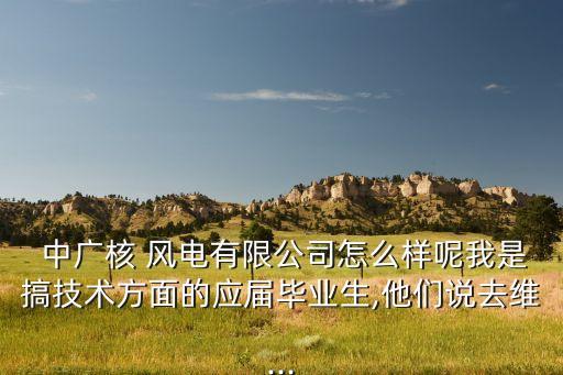  中廣核 風電有限公司怎么樣呢我是搞技術(shù)方面的應(yīng)屆畢業(yè)生,他們說去維...