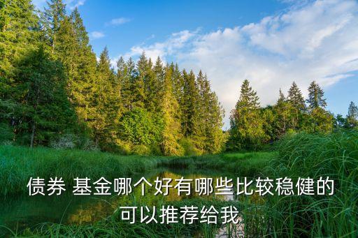  債券 基金哪個(gè)好有哪些比較穩(wěn)健的可以推薦給我