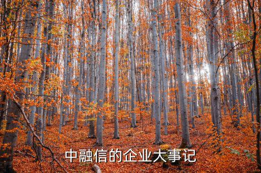 深圳長城融資擔?？毓捎邢薰?深圳世紀融泰融資擔保有限公司電話