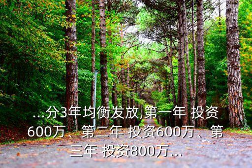 ...分3年均衡發(fā)放,第一年 投資600萬、第二年 投資600萬、第三年 投資800萬...