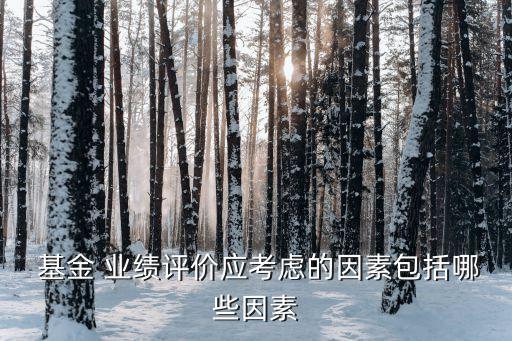  基金 業(yè)績評價應考慮的因素包括哪些因素