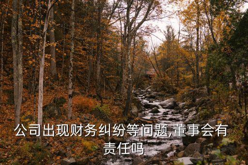 公司出現(xiàn)財(cái)務(wù)糾紛等問(wèn)題,董事會(huì)有 責(zé)任嗎