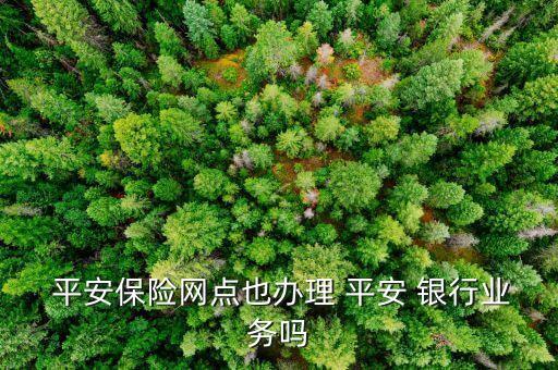  平安保險網點也辦理 平安 銀行業(yè)務嗎