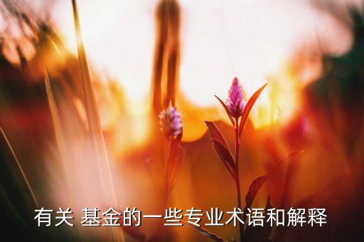 國債基金投資目標(biāo)側(cè)重于,比較股票、國債和基金的投資價值