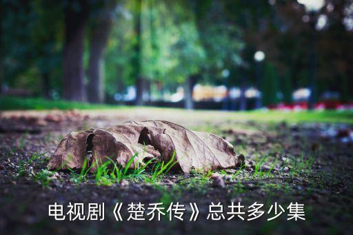 上?？祟D傳媒