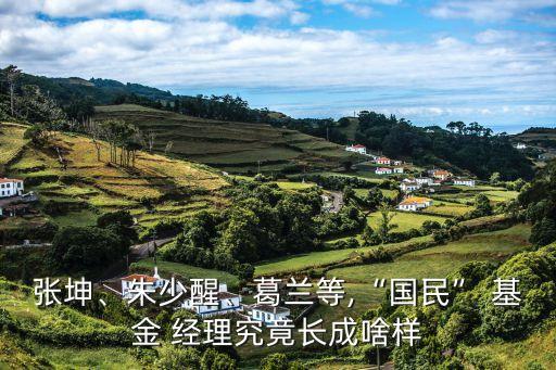張坤、朱少醒、葛蘭等,“國(guó)民” 基金 經(jīng)理究竟長(zhǎng)成啥樣