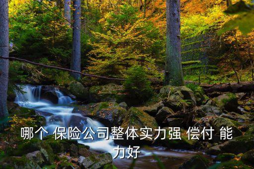 2015保險公司償付能力,保險公司償付能力達標(biāo)標(biāo)準(zhǔn)