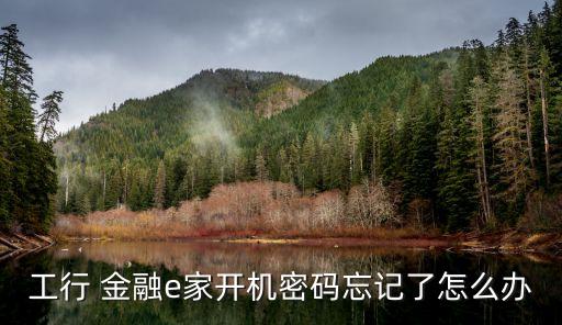 工行 金融e家開(kāi)機(jī)密碼忘記了怎么辦