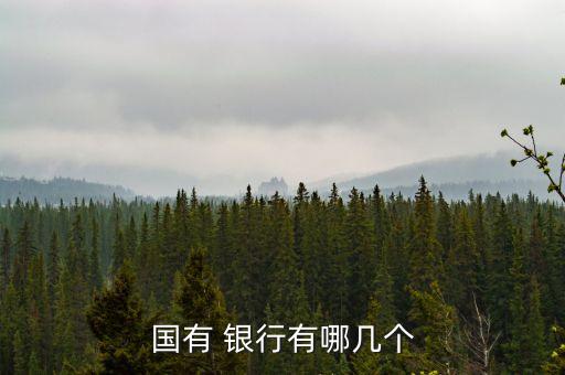 國有 銀行有哪幾個