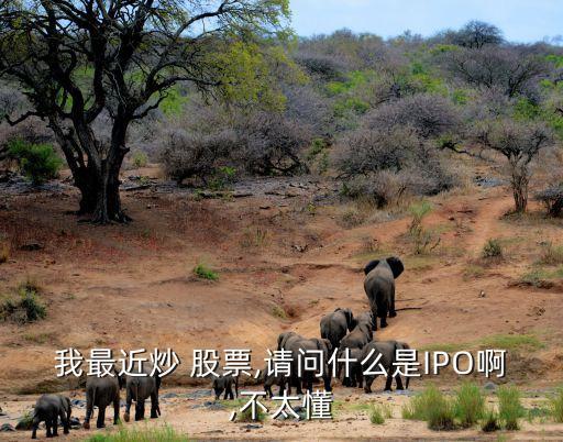我最近炒 股票,請(qǐng)問什么是IPO啊,不太懂