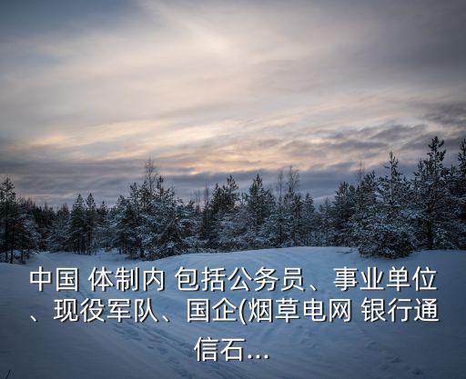 中國 體制內(nèi) 包括公務(wù)員、事業(yè)單位、現(xiàn)役軍隊、國企(煙草電網(wǎng) 銀行通信石...