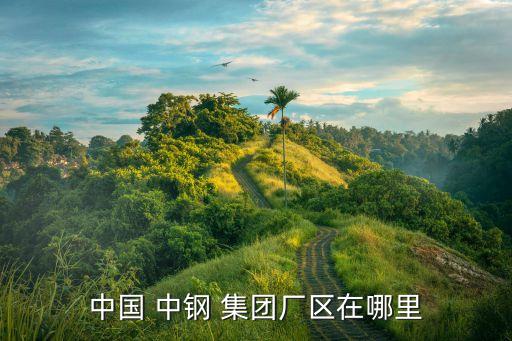 中國 中鋼 集團(tuán)廠區(qū)在哪里