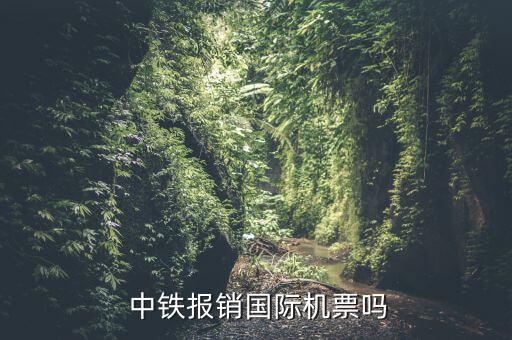  中鐵報(bào)銷(xiāo)國(guó)際機(jī)票嗎