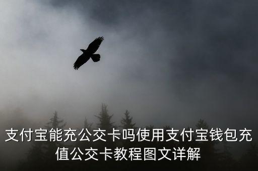 支付寶能充公交卡嗎使用支付寶錢(qián)包充值公交卡教程圖文詳解