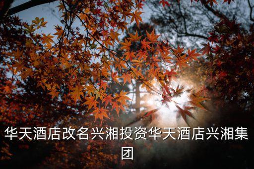 畢節(jié)洪山國際大酒店置業(yè)有限公司,九江遠洲置業(yè)有限公司遠洲國際大酒店