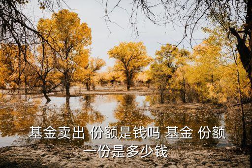 基金可賣份額什么意思,ETF基金份額增長(zhǎng)說(shuō)明什么