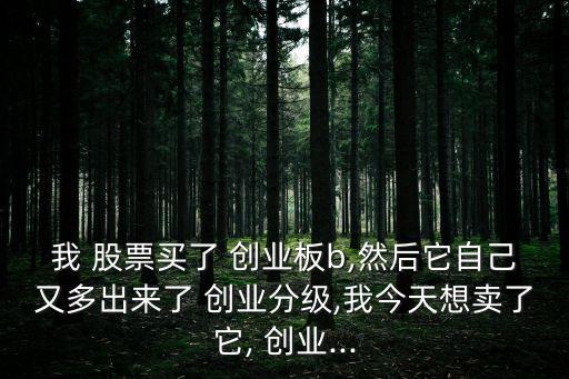 我 股票買了 創(chuàng)業(yè)板b,然后它自己又多出來了 創(chuàng)業(yè)分級(jí),我今天想賣了它, 創(chuàng)業(yè)...