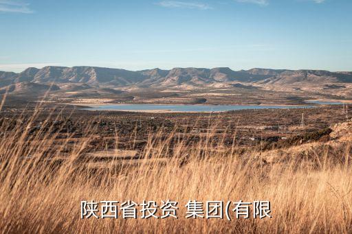 秦龍集團業(yè)務(wù),寶雞秦龍運輸集團