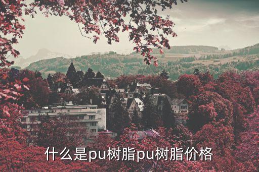 什么是pu樹脂pu樹脂價(jià)格