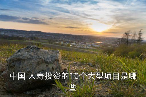 中國(guó)人壽股份有限公司戰(zhàn)略規(guī)劃部