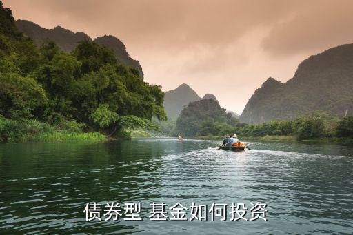 債權基金,債券基金主要投資的是什么投資品
