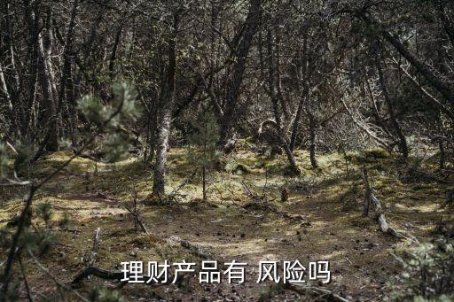 理財產(chǎn)品有 風險嗎
