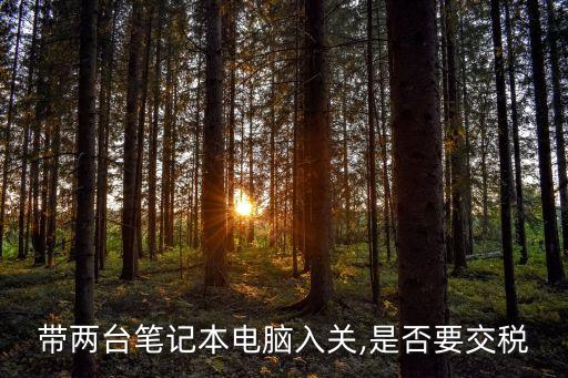 帶兩臺筆記本電腦入關,是否要交稅