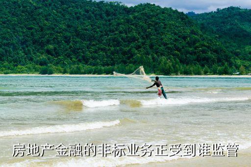 房地產(chǎn)金融的非標業(yè)務(wù)正受到誰監(jiān)管