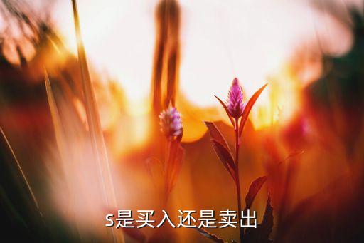 s是買(mǎi)入還是賣(mài)出