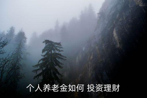 個人怎么投資公募,個人投資公募基金怎樣買