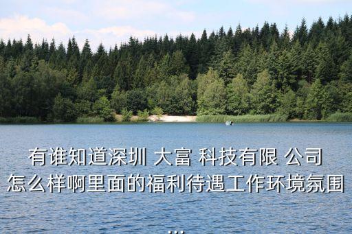 大富科技公司的盈利能力,錦大富環(huán)?？萍脊?/></a></span><span id=