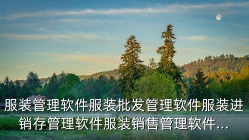 服裝管理軟件服裝批發(fā)管理軟件服裝進銷存管理軟件服裝銷售管理軟件...