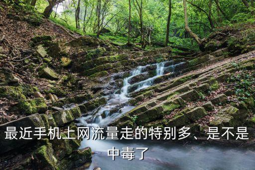 最近手機(jī)上網(wǎng)流量走的特別多、是不是中毒了