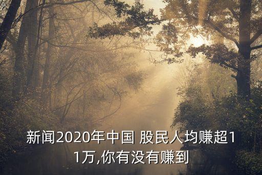 新聞2020年中國(guó) 股民人均賺超11萬(wàn),你有沒有賺到