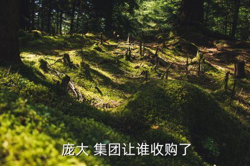  龐大 集團(tuán)讓誰收購(gòu)了