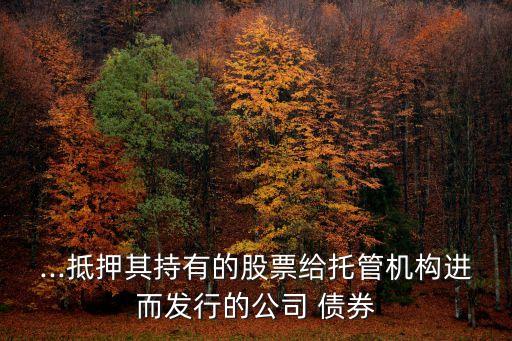 ...抵押其持有的股票給托管機構(gòu)進(jìn)而發(fā)行的公司 債券