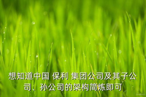想知道中國 保利 集團公司及其子公司、孫公司的架構簡煉即可