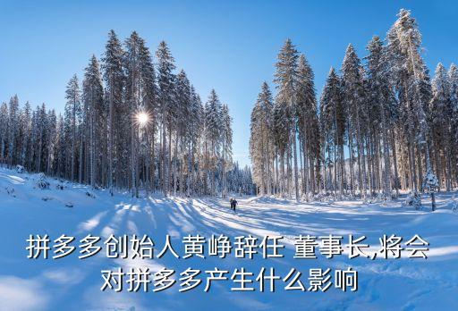 拼多多創(chuàng)始人黃崢辭任 董事長,將會(huì)對(duì)拼多多產(chǎn)生什么影響